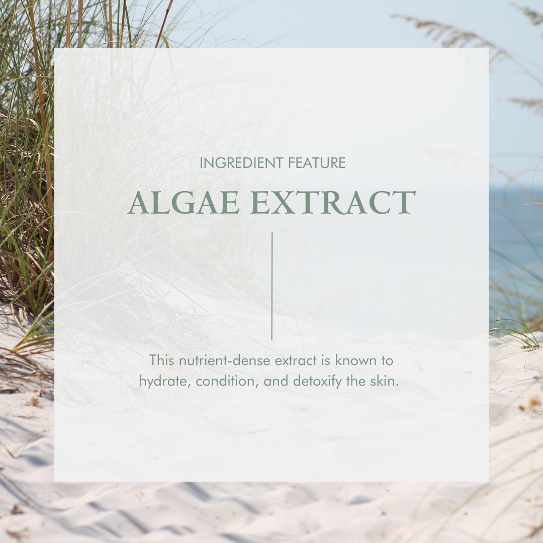 Organic Skin Renewal Night Face Cream - Hydrates & Lifts-4