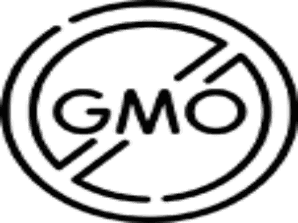 Vanilla Musk Shea Body Butter 8 & 2 oz. Tubs-3